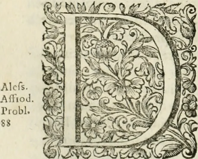 An illustration from Dell'idea della architettura universale, 1714, leaf 155