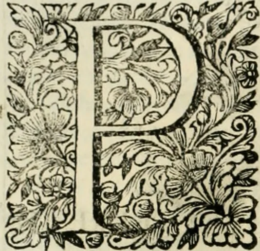 An illustration from Dell'idea della architettura universale, 1714, leaf 163