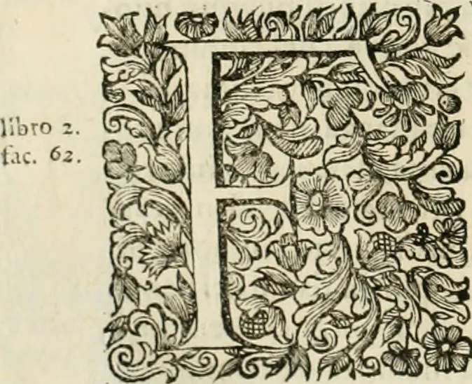 An illustration from Dell'idea della architettura universale, 1714, leaf 175
