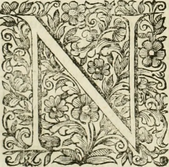 An illustration from Dell'idea della architettura universale, 1714, leaf 179