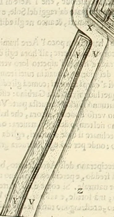 An illustration from Dell'idea della architettura universale, 1714, leaf 186