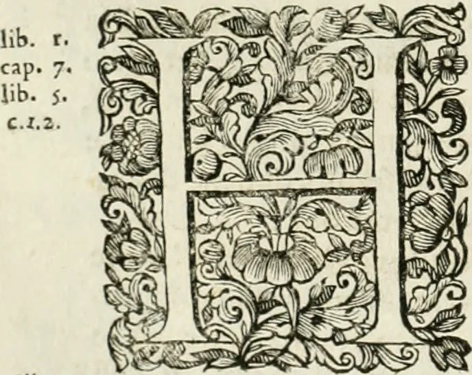 An illustration from Dell'idea della architettura universale, 1714, leaf 189