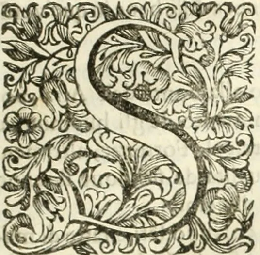 An illustration from Dell'idea della architettura universale, 1714, leaf 198