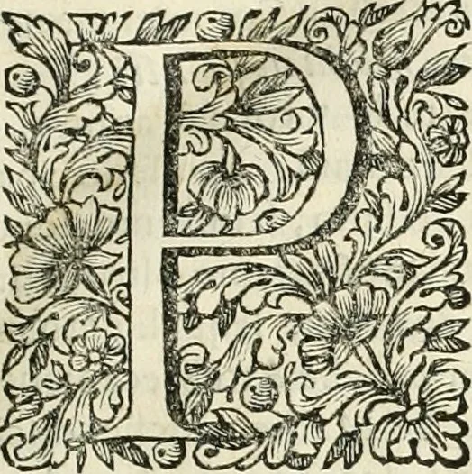 An illustration from Dell'idea della architettura universale, 1714, leaf 20