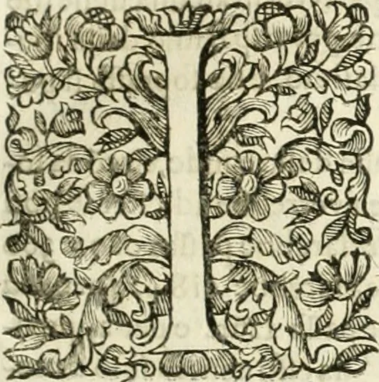 An illustration from Dell'idea della architettura universale, 1714, leaf 202