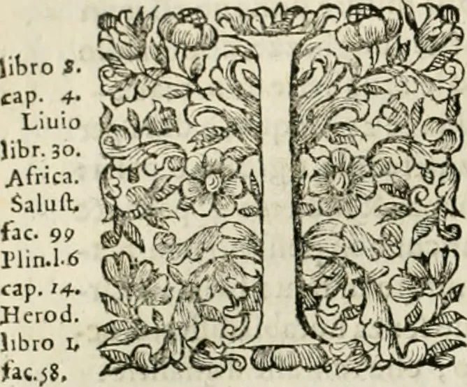 An illustration from Dell'idea della architettura universale, 1714, leaf 207