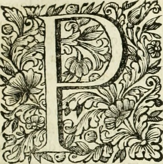 An illustration from Dell'idea della architettura universale, 1714, leaf 224