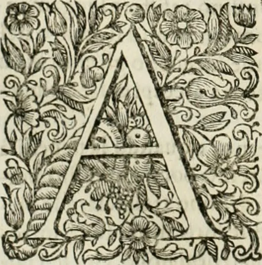 An illustration from Dell'idea della architettura universale, 1714, leaf 227