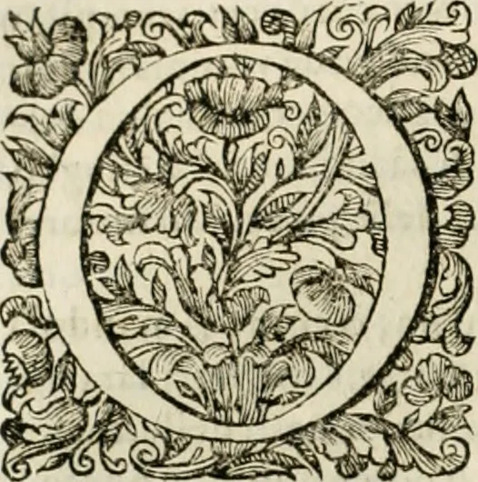 An illustration from Dell'idea della architettura universale, 1714, leaf 233