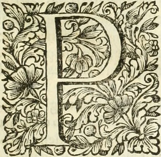 An illustration from Dell'idea della architettura universale, 1714, leaf 24