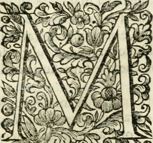 An illustration from Dell'idea della architettura universale, 1714, leaf 244