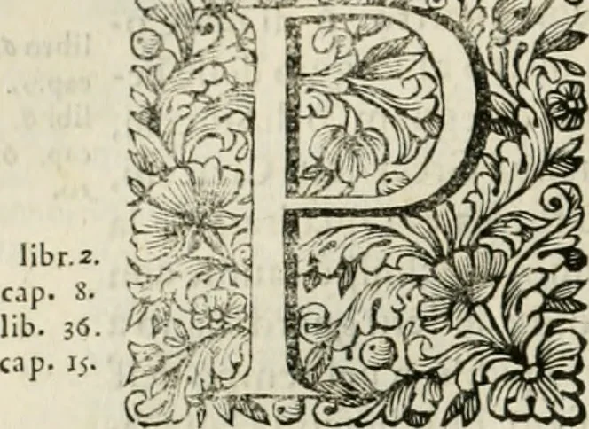 An illustration from Dell'idea della architettura universale, 1714, leaf 253