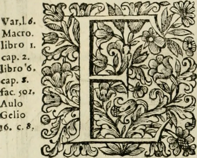 An illustration from Dell'idea della architettura universale, 1714, leaf 257