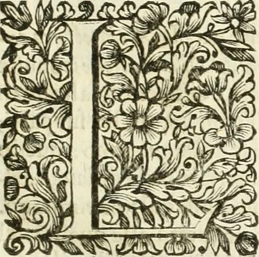 An illustration from Dell'idea della architettura universale, 1714, leaf 26