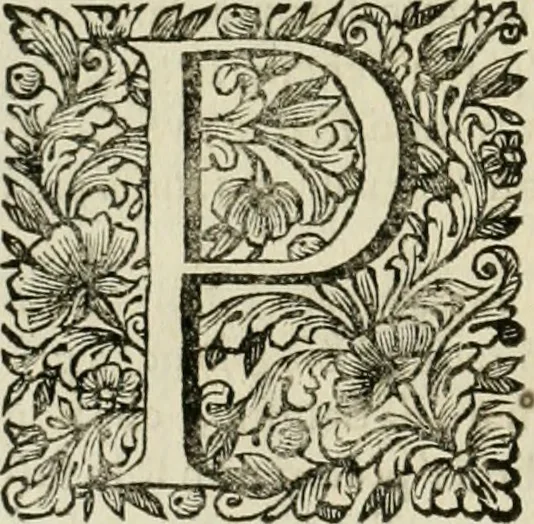 An illustration from Dell'idea della architettura universale, 1714, leaf 261