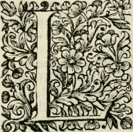 An illustration from Dell'idea della architettura universale, 1714, leaf 265