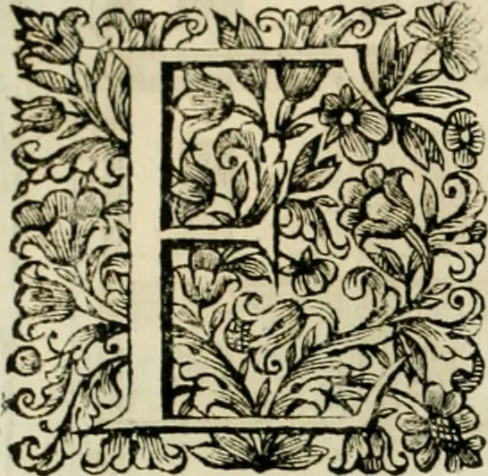 An illustration from Dell'idea della architettura universale, 1714, leaf 271