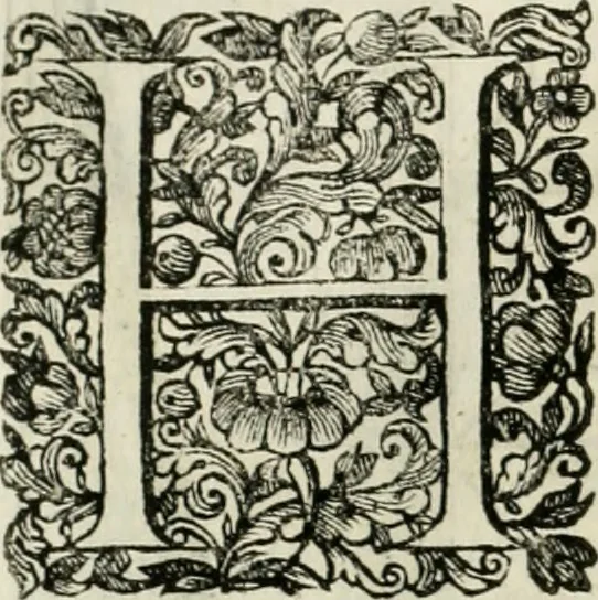 An illustration from Dell'idea della architettura universale, 1714, leaf 275