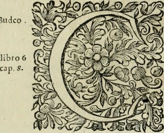 An illustration from Dell'idea della architettura universale, 1714, leaf 287