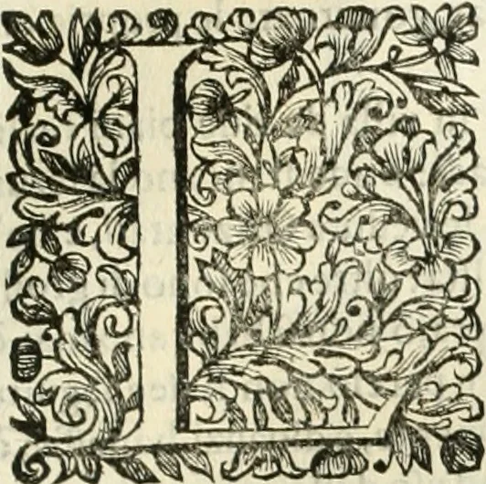 An illustration from Dell'idea della architettura universale, 1714, leaf 292