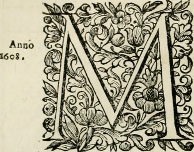 An illustration from Dell'idea della architettura universale, 1714, leaf 297