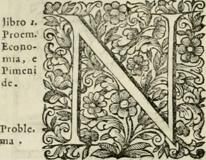 An illustration from Dell'idea della architettura universale, 1714, leaf 303