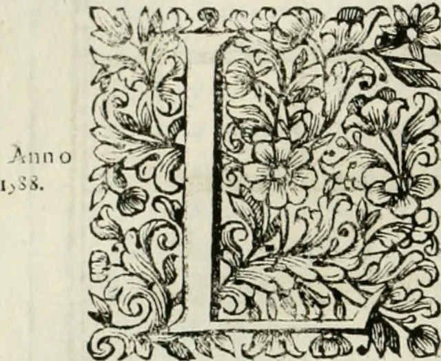 An illustration from Dell'idea della architettura universale, 1714, leaf 315
