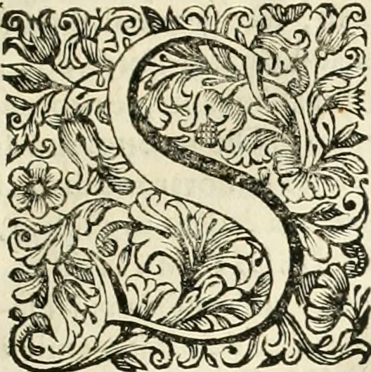 An illustration from Dell'idea della architettura universale, 1714, leaf 32