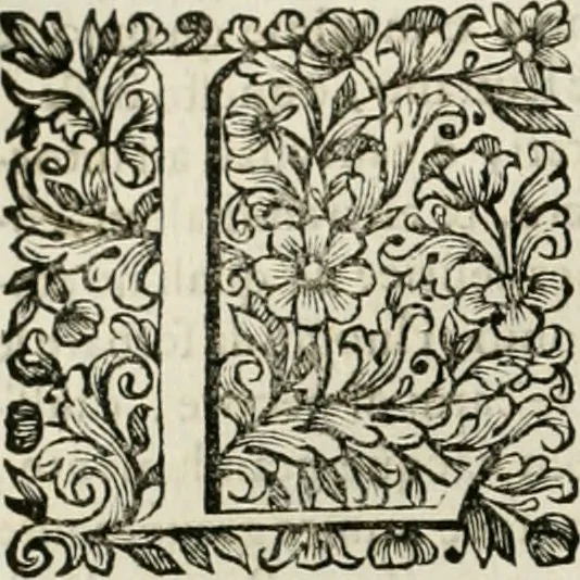 An illustration from Dell'idea della architettura universale, 1714, leaf 323
