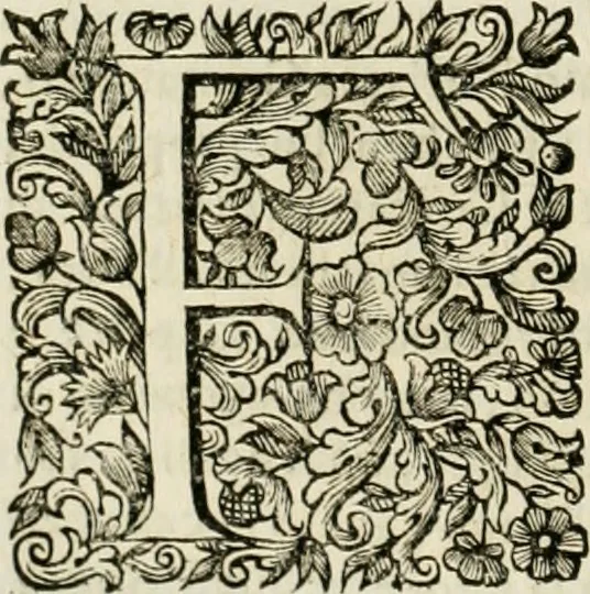 An illustration from Dell'idea della architettura universale, 1714, leaf 327