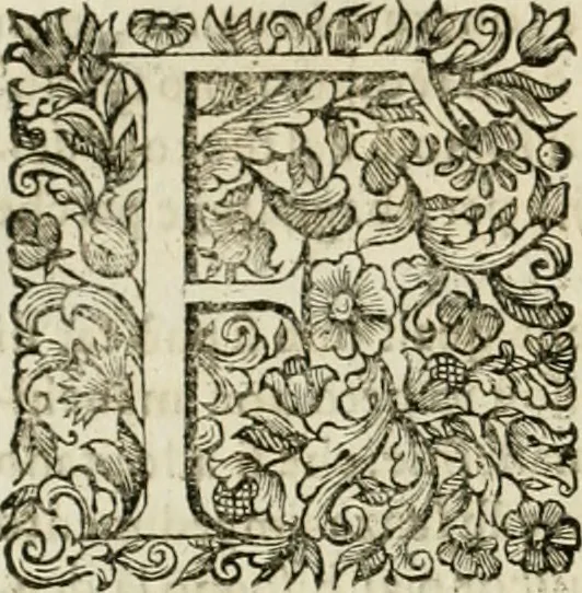 An illustration from Dell'idea della architettura universale, 1714, leaf 333