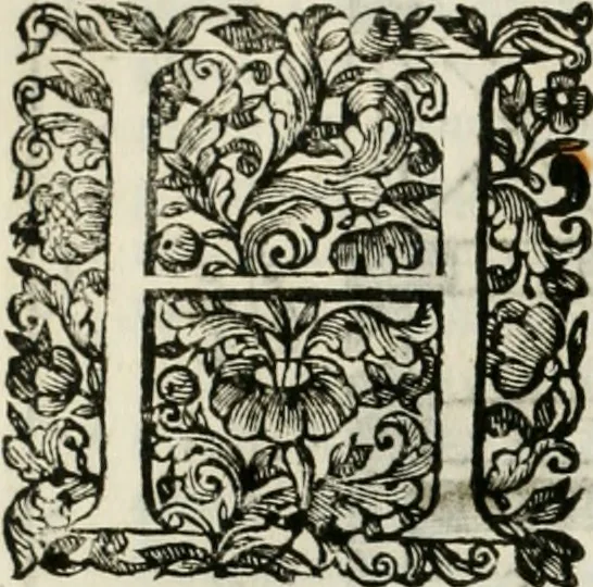 An illustration from Dell'idea della architettura universale, 1714, leaf 339