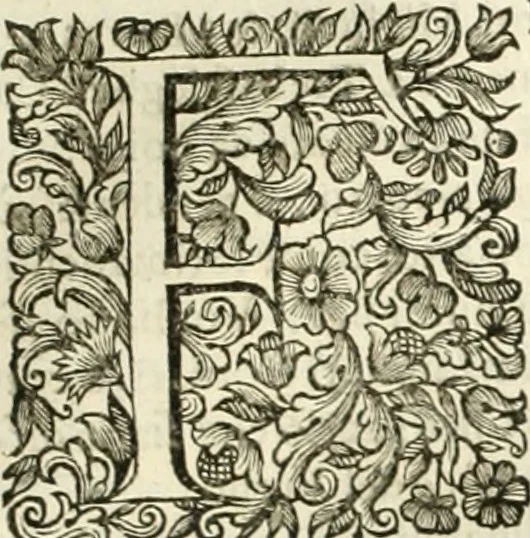 An illustration from Dell'idea della architettura universale, 1714, leaf 346