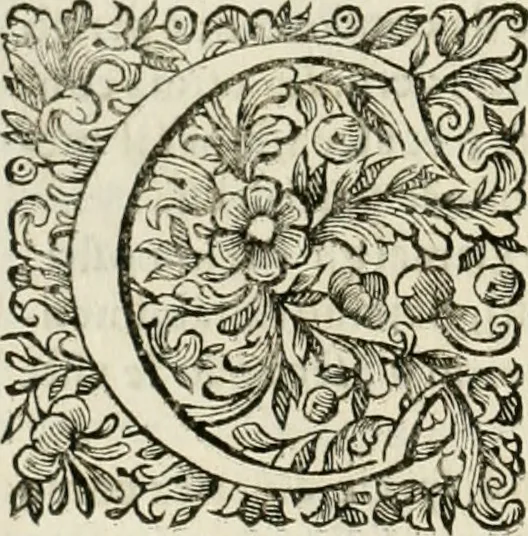 An illustration from Dell'idea della architettura universale, 1714, leaf 349