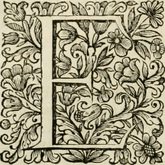 An illustration from Dell'idea della architettura universale, 1714, leaf 357