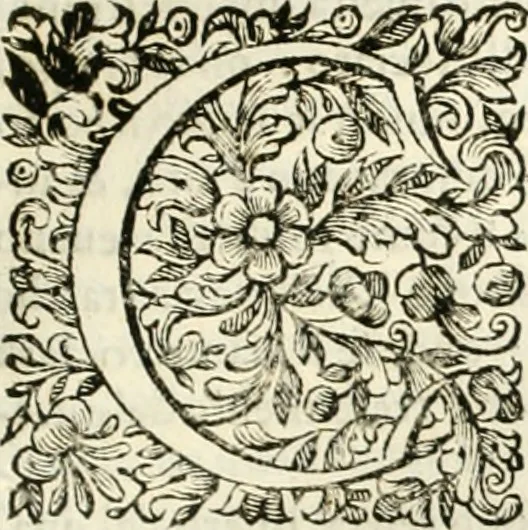 An illustration from Dell'idea della architettura universale, 1714, leaf 360