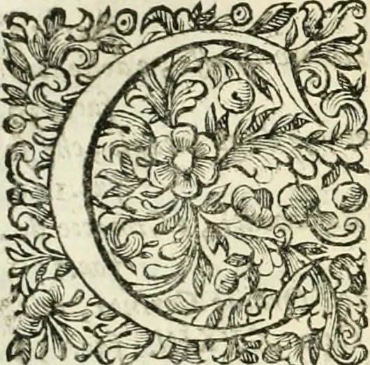 An illustration from Dell'idea della architettura universale, 1714, leaf 420