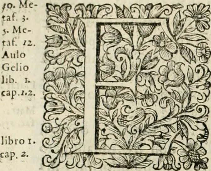 An illustration from Dell'idea della architettura universale, 1714, leaf 427