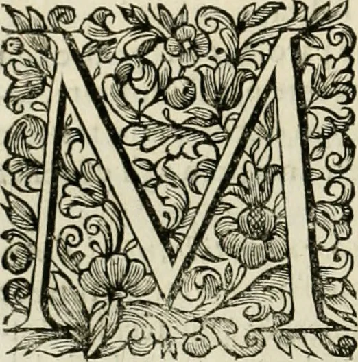 An illustration from Dell'idea della architettura universale, 1714, leaf 43