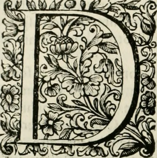 An illustration from Dell'idea della architettura universale, 1714, leaf 435