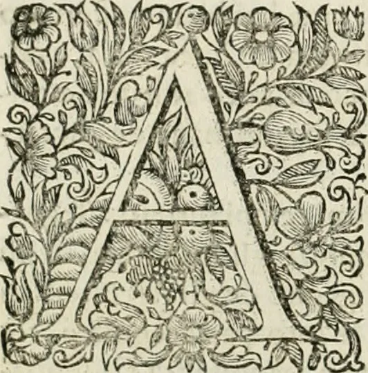 An illustration from Dell'idea della architettura universale, 1714, leaf 437