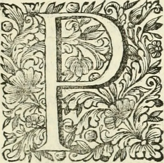 An illustration from Dell'idea della architettura universale, 1714, leaf 446