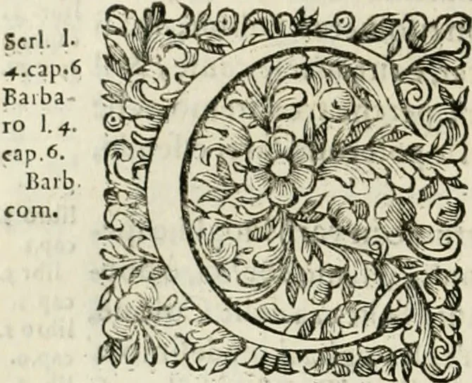 An illustration from Dell'idea della architettura universale, 1714, leaf 449