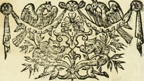 An illustration from Dell'idea della architettura universale, 1714, leaf 452