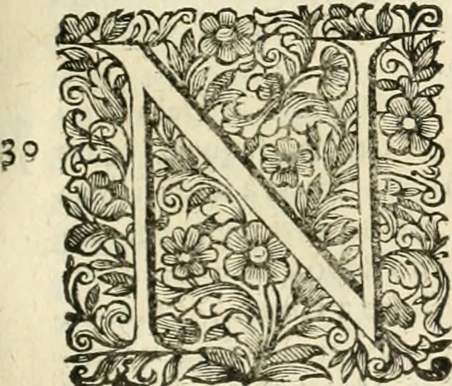 An illustration from Dell'idea della architettura universale, 1714, leaf 456