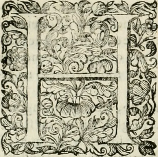 An illustration from Dell'idea della architettura universale, 1714, leaf 463
