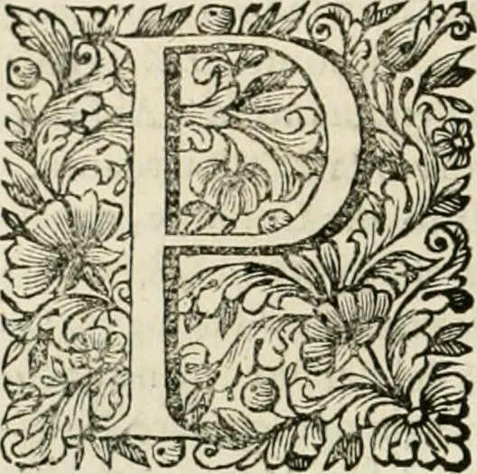 An illustration from Dell'idea della architettura universale, 1714, leaf 467