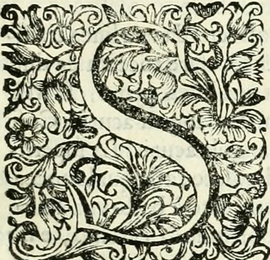 An illustration from Dell'idea della architettura universale, 1714, leaf 48