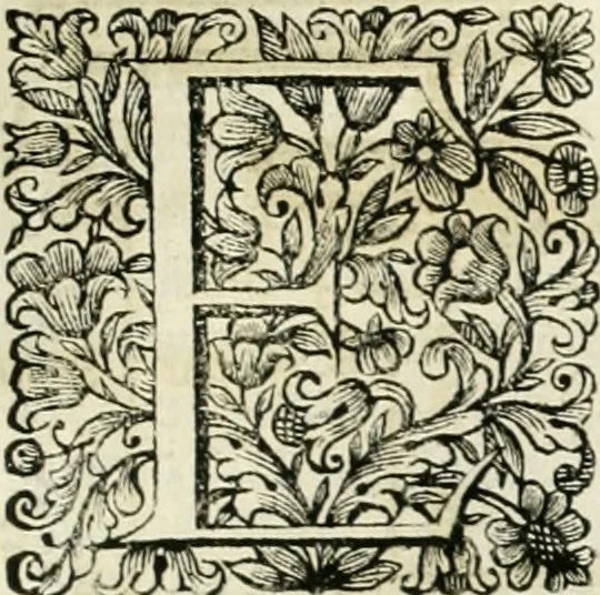 An illustration from Dell'idea della architettura universale, 1714, leaf 488