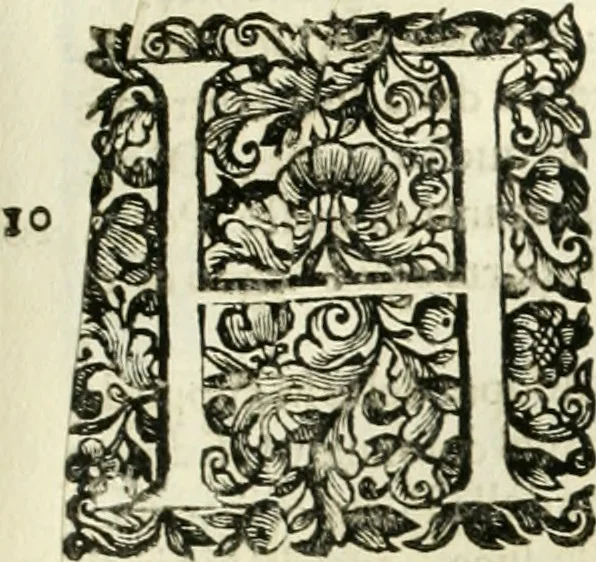 An illustration from Dell'idea della architettura universale, 1714, leaf 494